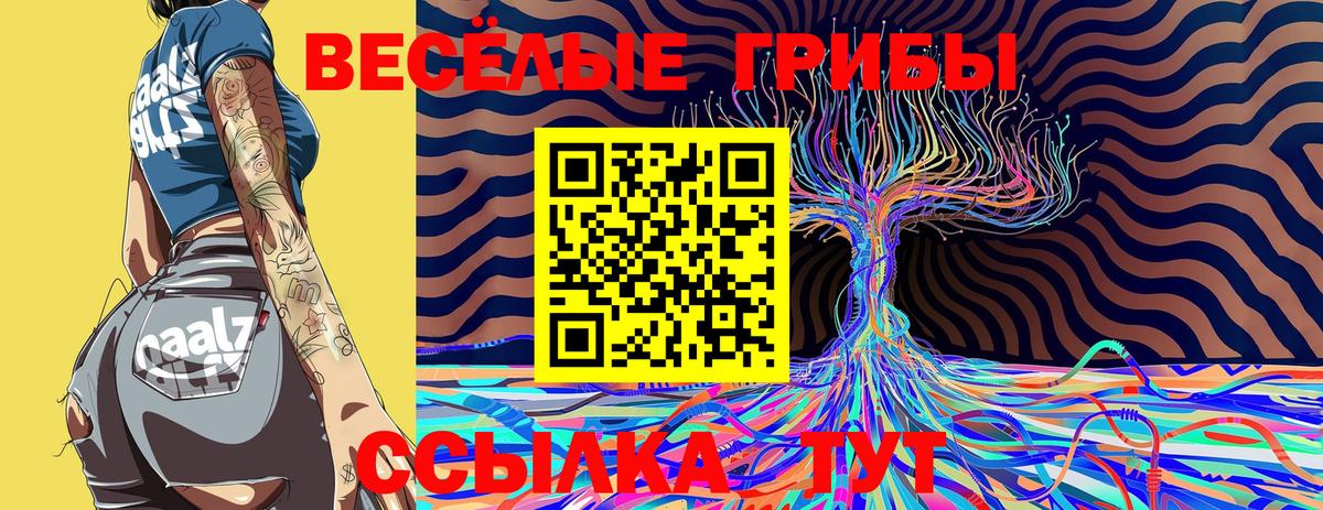 как найти наркотики  Галлюциногенные грибы Psilocybe  Вход с VPN  Чайковский 