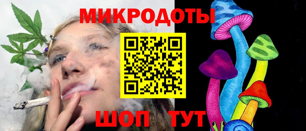 Псилоцибиновые грибы Psilocybe Чайковский